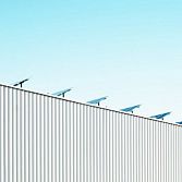 Zonnestralen op het werk: hoe zonnepanelen bijdragen aan bedrijfssucces