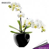Eva Solo Orchidee pot (zwart)