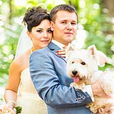 Je Hond op je bruiloft!