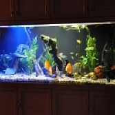 Led aquarium verlichting